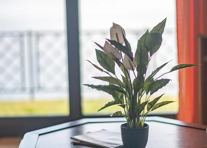 Dom wakacyjny Casa Massino Massino Visconti